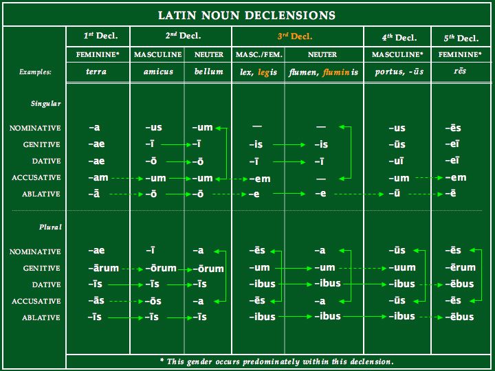 Latin Noun Declension Endings Chart